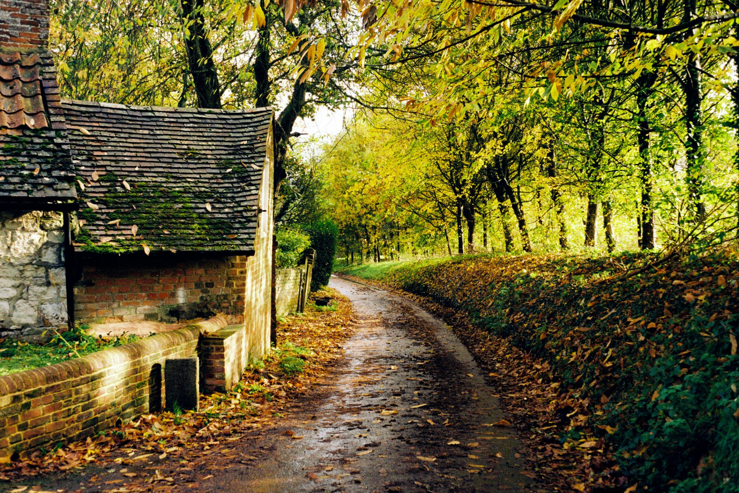 Traditional tiled outbuilding on a rural Wiltshire lane, the kind of roof space and building where pest control for estates and rural properties is needed around Swindon and Wiltshire
